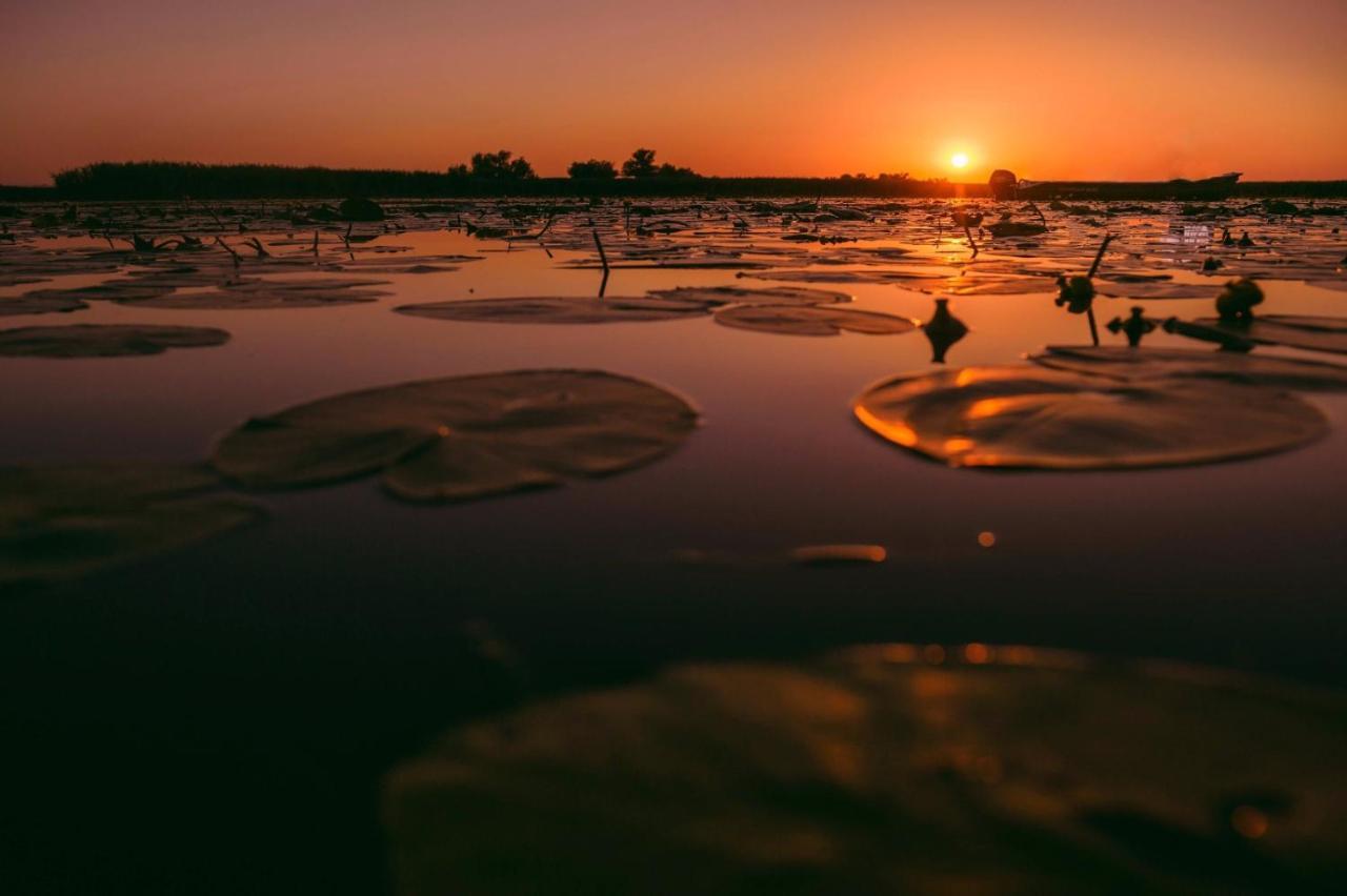 Pensiunea Obretin All Inclusive Mila Douazeci si Trei Bagian luar foto